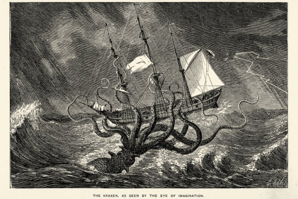 Kraken17at