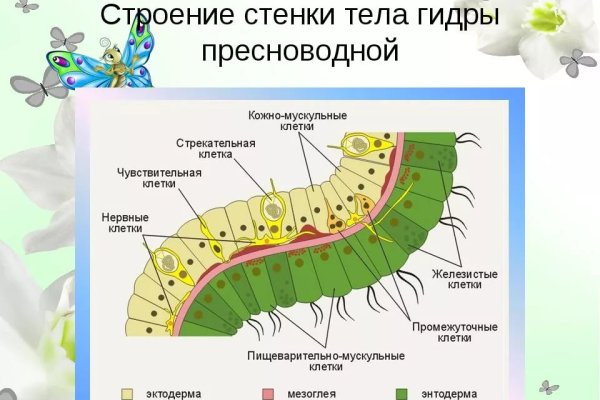 Кракен 2krnk