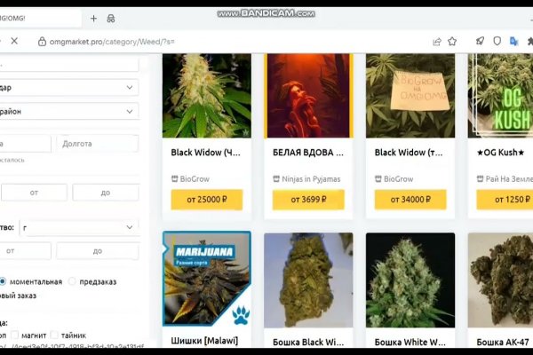 Kraken whitenet store
