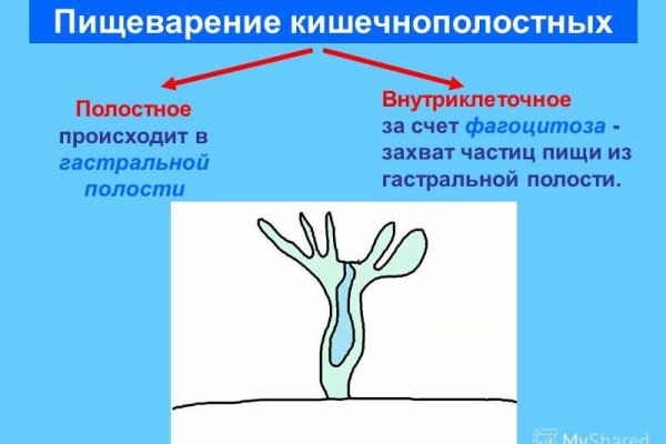 Кракен ссылка kra