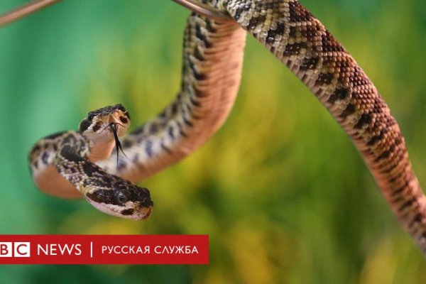 Кракен невозможно зарегистрировать пользователя