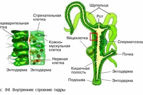 Кракен ссылка москва